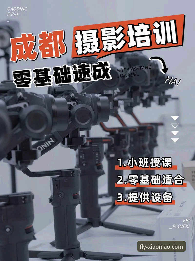 资深用户深度剖析:小鸟平台登录官网的全面体验与实战心得