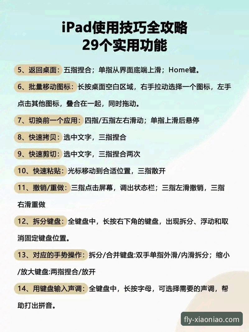 小鸟平台登录操作教程：从入门到精通的三步指南
