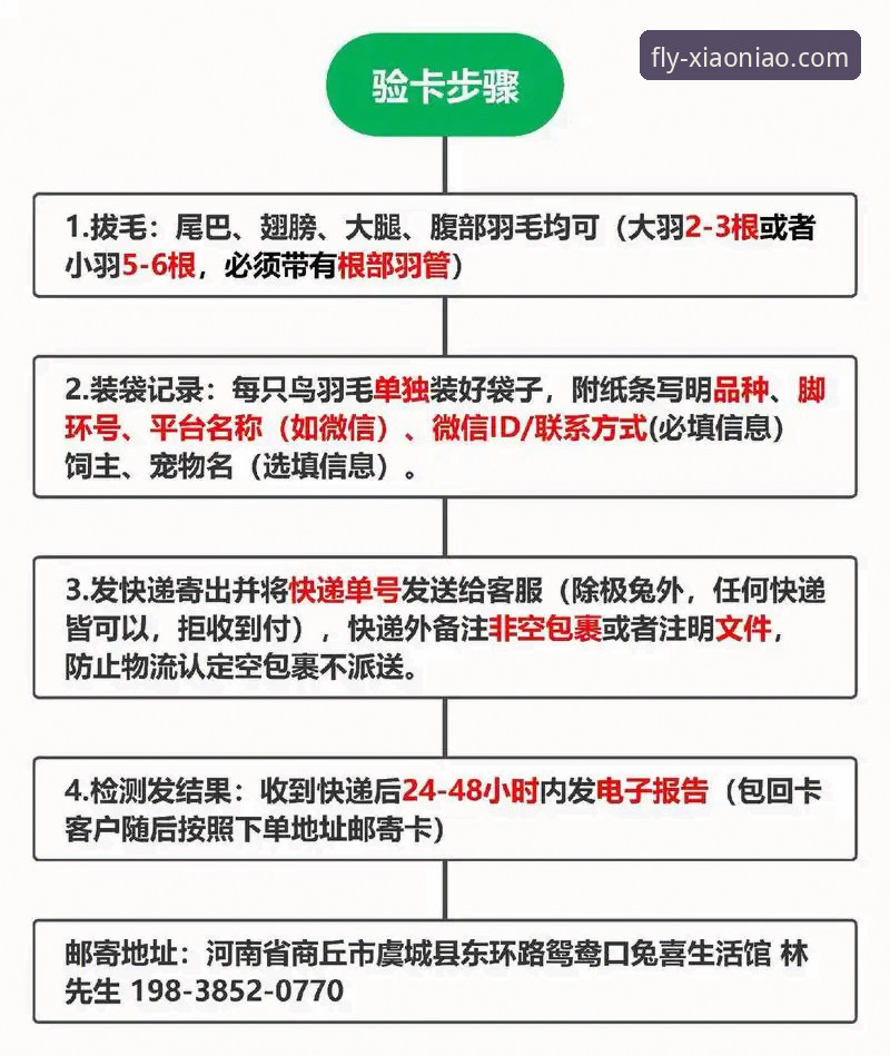 小鸟平台实名认证流程详解与安全指南