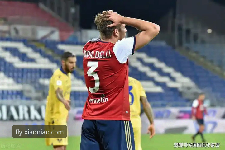 <h2>如何通过小鸟平台登录官网，深度解读一场5-0的意甲焦点战</h2>