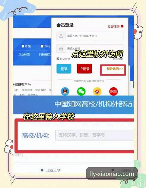小鸟平台电脑版登录与使用完全指南：资深用户带你玩转官方入口