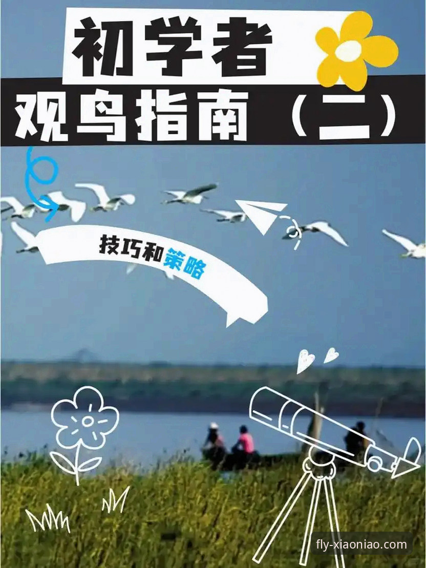 小鸟平台登录与安装：一份面向未来的实用指南