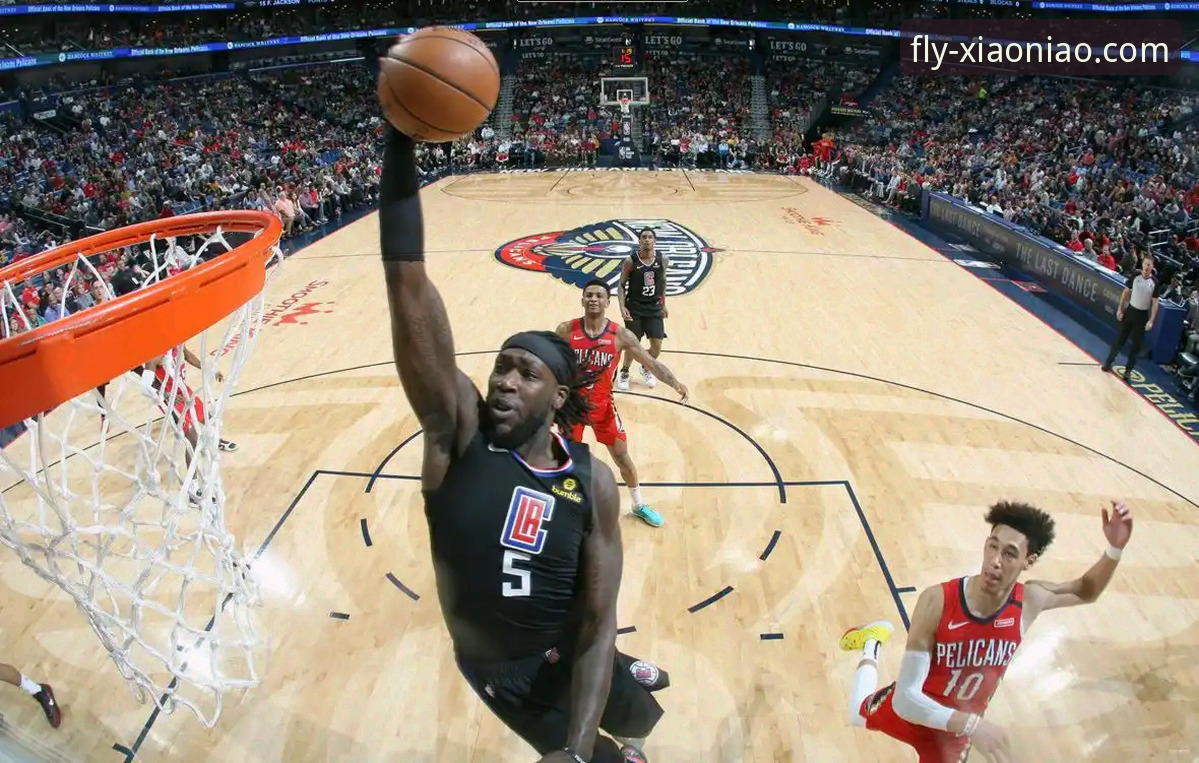 从快船鹈鹕逆转之战,解析如何通过小鸟平台登录获取深度赛事数据指南