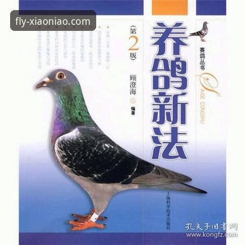 掌握小鸟平台登录官网新功能:实用技巧与必备知识