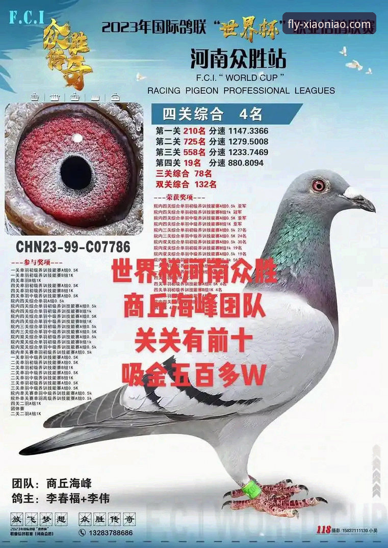 世界杯排名变动观察:利用小鸟平台登录指南获取赛事最新动态的实用技巧