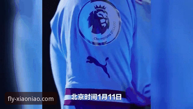 欧洲足坛转会市场动态：使用小鸟平台登录获取最新资讯的完整指南